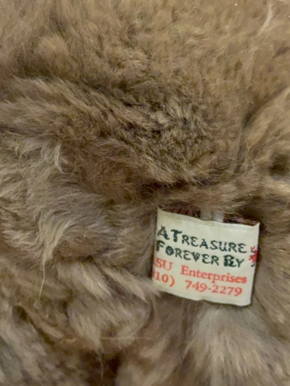 A treasure forever real fur bear